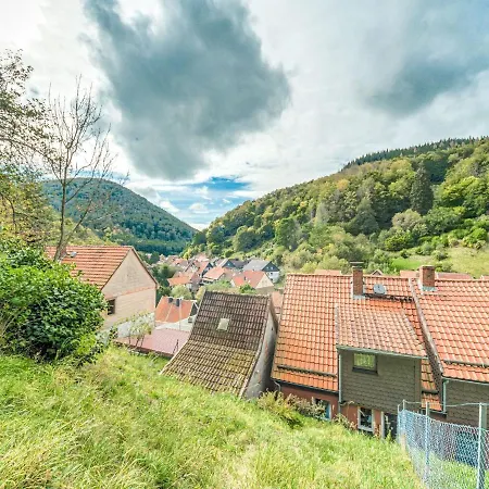Near The Area In Apartament Zorge