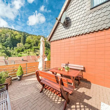 Cozy Holiday Apartment In Walkenried, District Of Zorge 公寓 Zorge