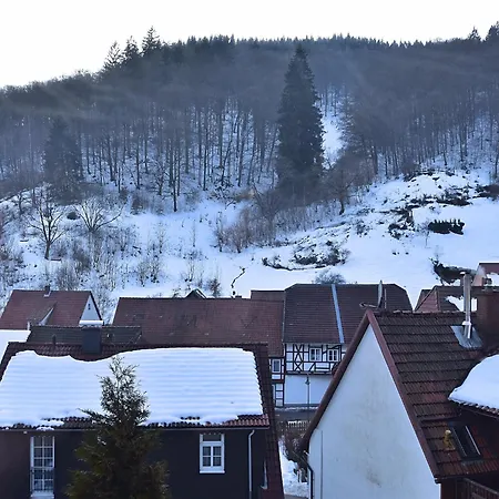 Cozy Holiday Apartment In Walkenried, District Of Zorge 公寓