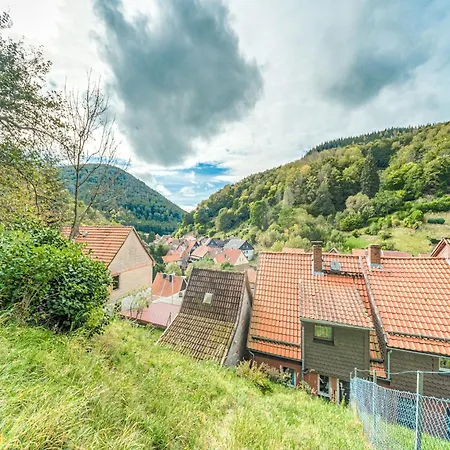 Cozy Holiday Apartment In Walkenried, District Of Zorge Zorge