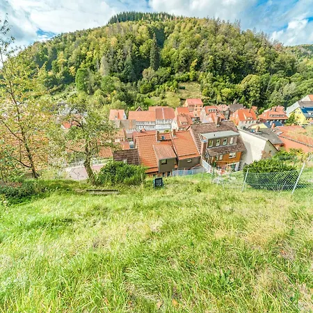 Gemuetliche Bei Braunlage Appartamento Zorge
